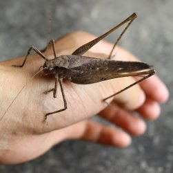 exklusive interview: entdecken sie faszinierende einblicke und spannende geschichten von inspirierenden persönlichkeiten. tauchen sie ein in die gedankenwelt unserer gäste und erfahren sie mehr über ihre einzigartigen erfahrungen und perspektiven.