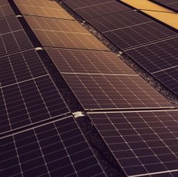 entdecken sie, wie nachhaltigkeit die zukunft unserer welt beeinflusst. erfahren sie, wie umweltfreundliche praktiken und bewusster konsum helfen können, unseren planeten für kommende generationen zu schützen.