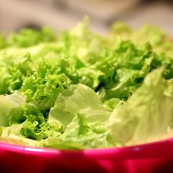 entdecken sie erfrischende lebensmittel, die ihre sinne beleben und für eine gesunde ernährung sorgen. genießen sie köstliche rezepte und tipps für einen erfrischenden lebensstil!
