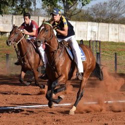 erleben sie die faszination des reitsports! entdecken sie die verschiedenen disziplinen, die besten techniken, ausrüstung und tipps für reiter aller erfahrungsstufen. tauchen sie ein in die welt des pferdesports!