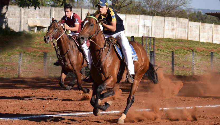 erleben sie die faszination des reitsports! entdecken sie die verschiedenen disziplinen, die besten techniken, ausrüstung und tipps für reiter aller erfahrungsstufen. tauchen sie ein in die welt des pferdesports!