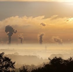 entdecken sie die bedeutung des umweltschutzes für unsere erde. erfahren sie, wie wir durch nachhaltige praktiken und individuelle maßnahmen die umwelt schützen und eine bessere zukunft für kommende generationen schaffen können.