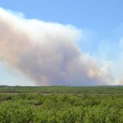 entdecken sie die ursachen, auswirkungen und präventionsmaßnahmen von waldbränden. erfahren sie, wie diese naturphänomene die umwelt beeinflussen und was wir tun können, um unsere wälder zu schützen.
