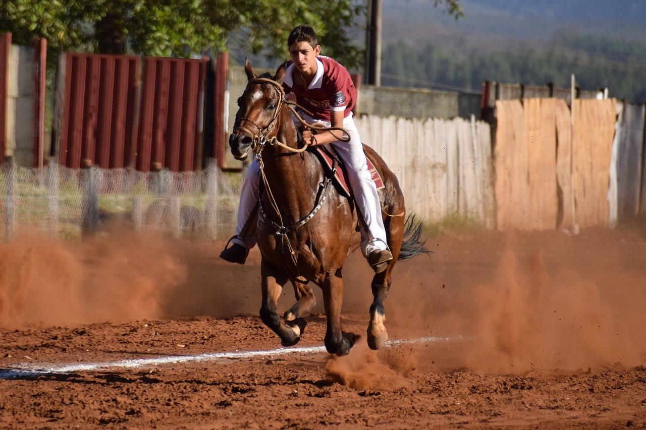 erleben sie die faszination des pferdesports! equestrianism kombiniert leidenschaft, technik und tierliebe. entdecken sie die verschiedenen disziplinen, von dressur bis springreiten, und lernen sie alles über die richtige ausbildung von pferd und reiter.