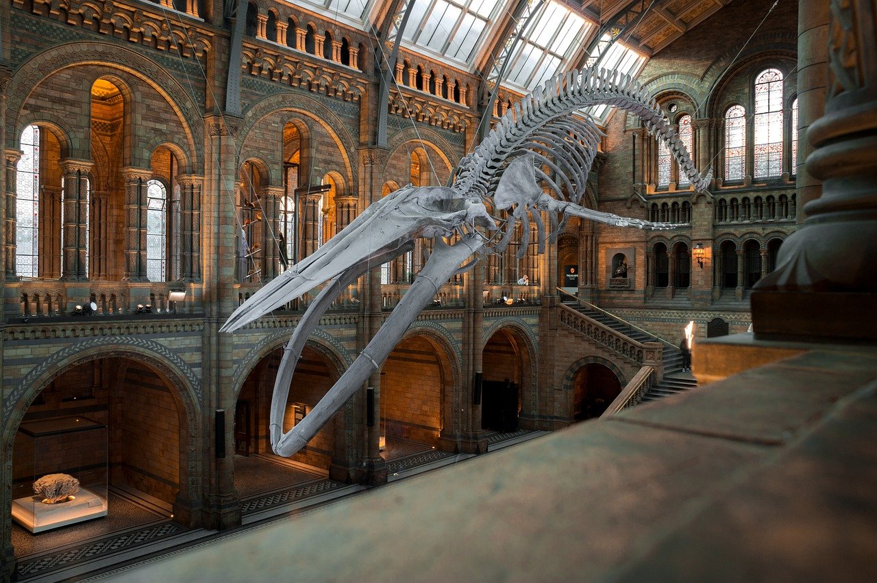 erleben sie eine faszinierende ausstellung, die kunst, kultur und innovation vereint. entdecken sie inspirierende werke von talentierten künstlern und tauchen sie ein in die kreative welt des sehens und erlebens.