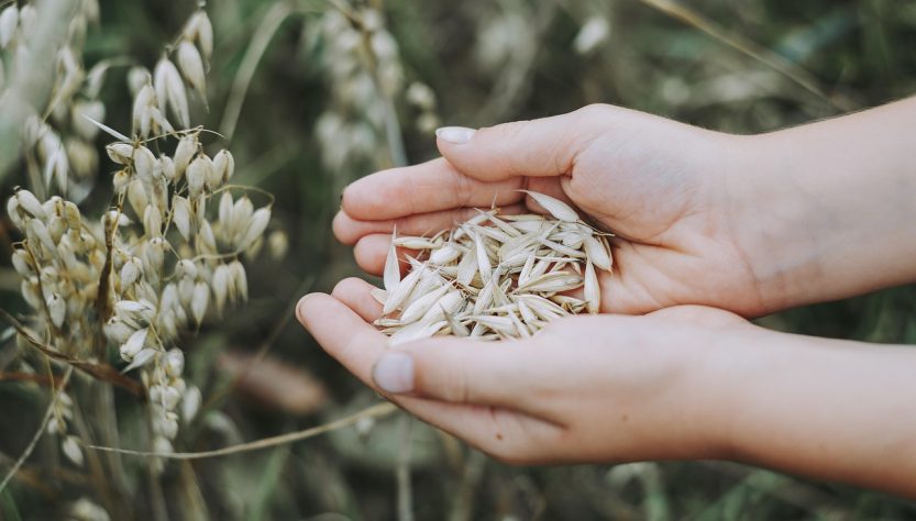 entdecken sie die neuesten trends und tipps zur ernährung. verbessern sie ihr wohlbefinden und ihre gesundheit durch ausgewogene ernährung und nahrhafte rezepte.