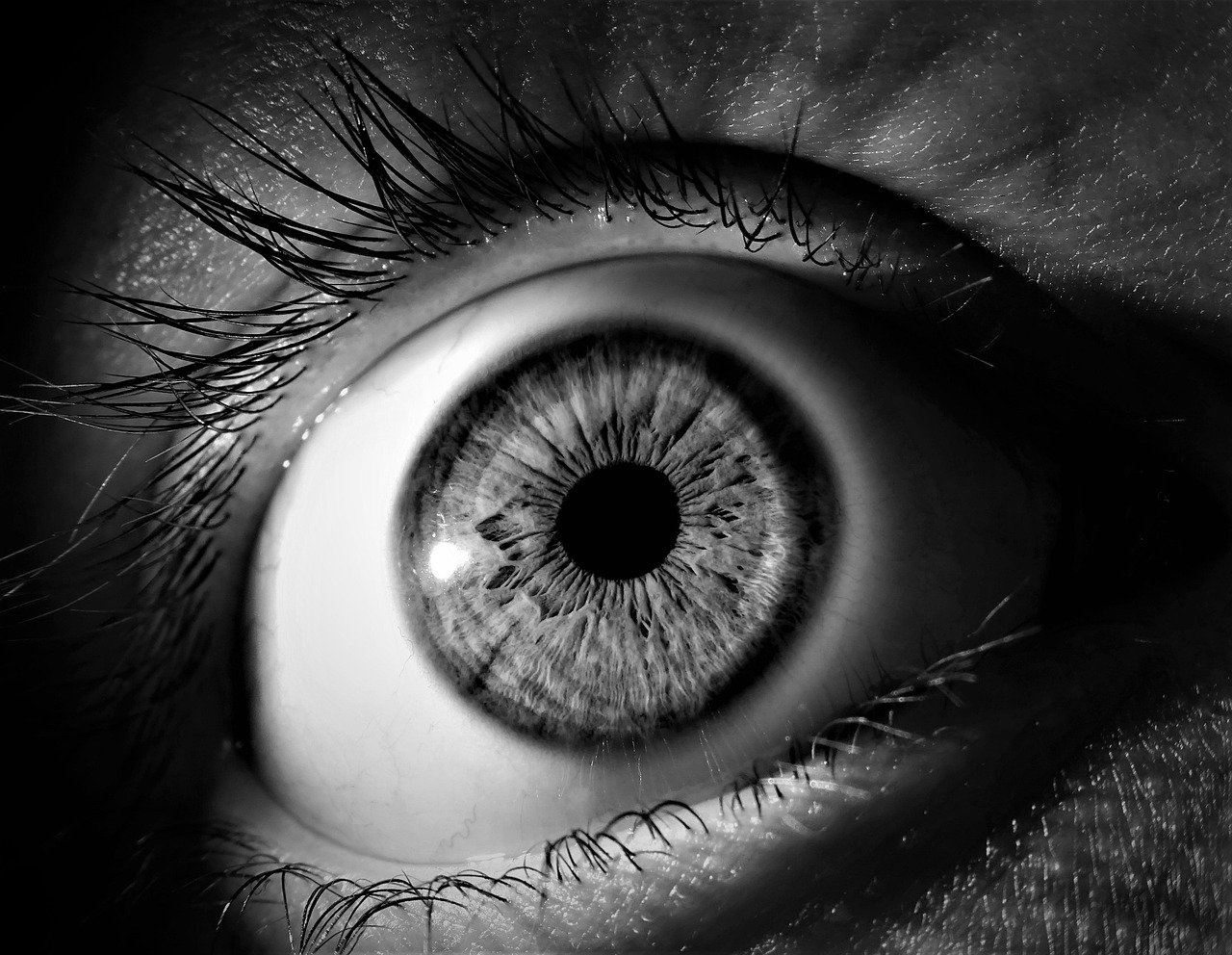 entdecken sie inspirierende zukunftsvisionen, die innovative ideen und nachhaltige lösungen für eine bessere welt von morgen vorstellen.