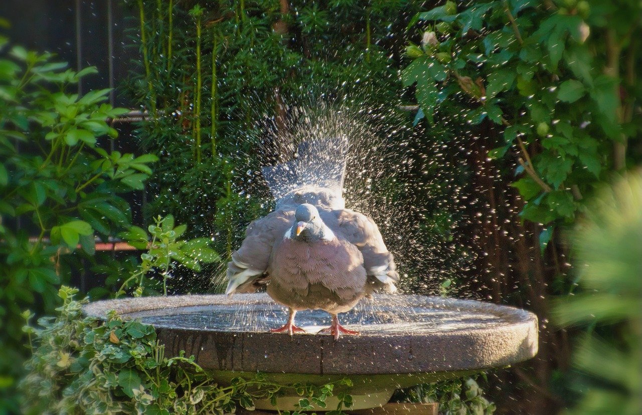 entdecken sie die entspannende welt der gartenbäder! schaffen sie ihre persönliche oase im freien mit stilvollen und funktionalen designs, die perfekten komfort und ruhe bieten. erleben sie die schönheit der natur in ihrem eigenen gartenbad.