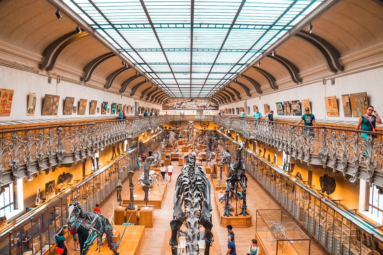 entdecken sie unsere interaktive ausstellung, die kunst und technologie vereint. tauchen sie ein in fesselnde erlebnisse und gestalten sie ihr eigenes abenteuer in einer einzigartigen umgebung!