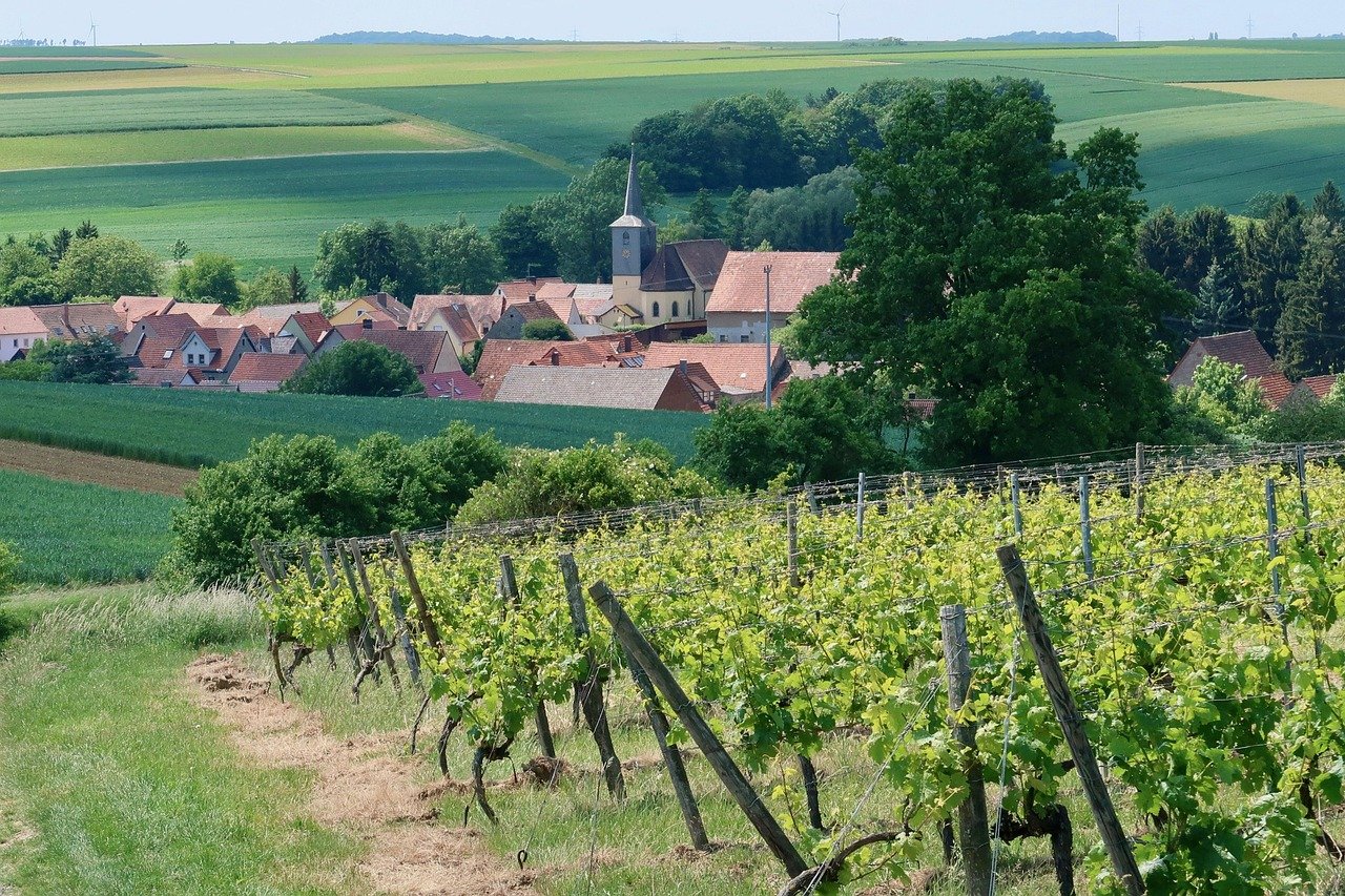 entdecken sie die faszinierenden weinregionen japans, von den malerischen weinbergen hokkaidos bis zu den einzigartigen weinen der region yamanashi. erfahren sie mehr über die vielfältige weinproduktion und die tragen zu japans wachsender wein-kultur bei.