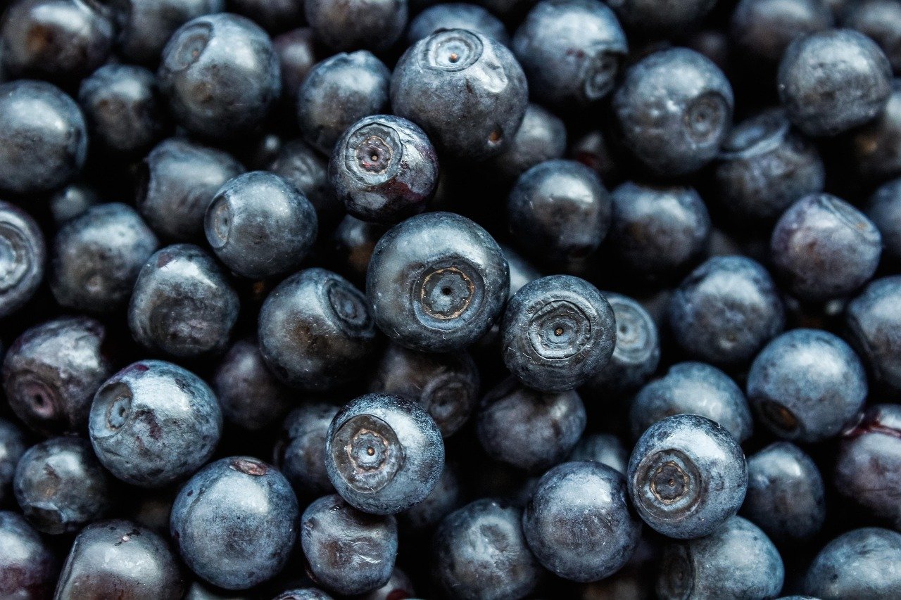 entdecken sie die neuesten trends und wissenschaftlichen erkenntnisse in der ernährung. erfahren sie, wie sie sich gesund ernähren können, um ihr wohlbefinden zu steigern und ihre lebensqualität zu verbessern.
