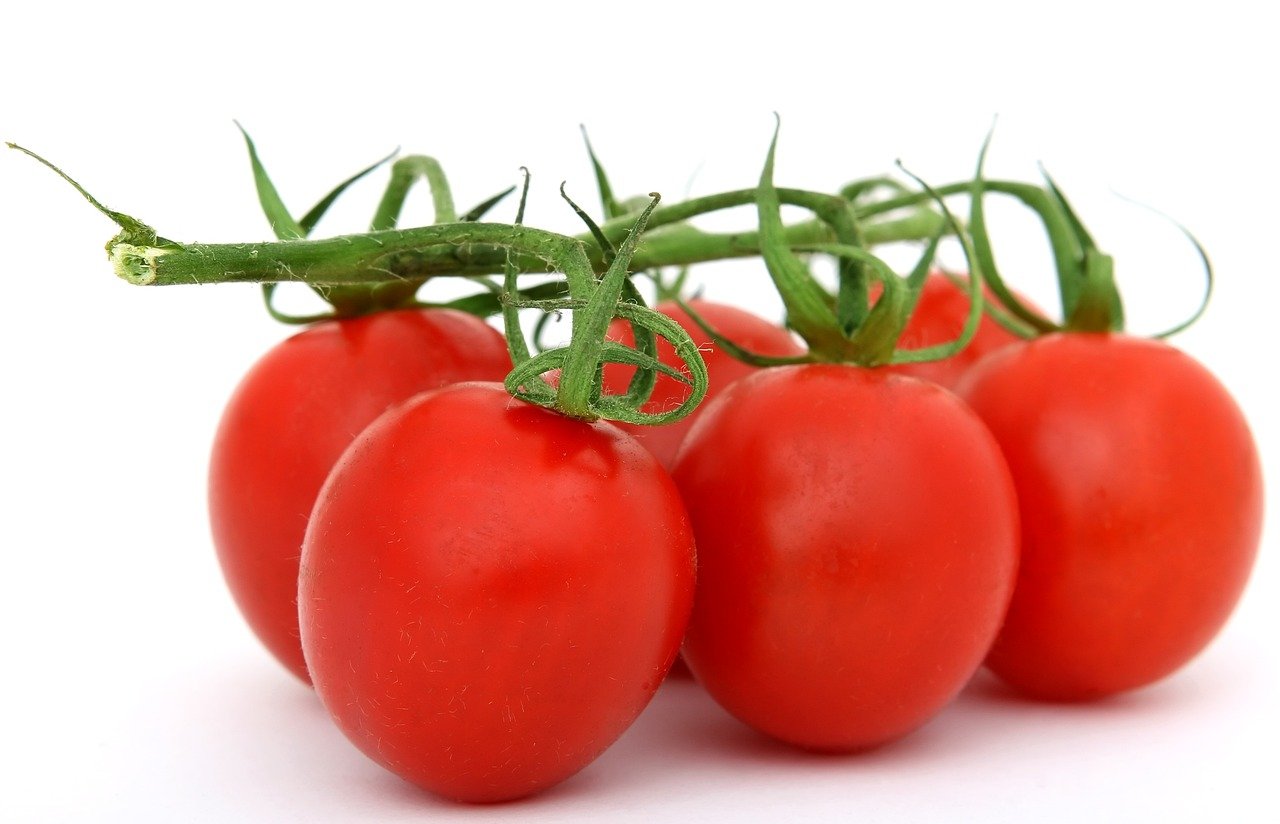 entdecken sie die welt der ernährung! tipps, rezepte und wissenschaftliche erkenntnisse für eine gesunde lebensweise. verbessern sie ihr wohlbefinden durch ausgewogene ernährung und nachhaltige essgewohnheiten.