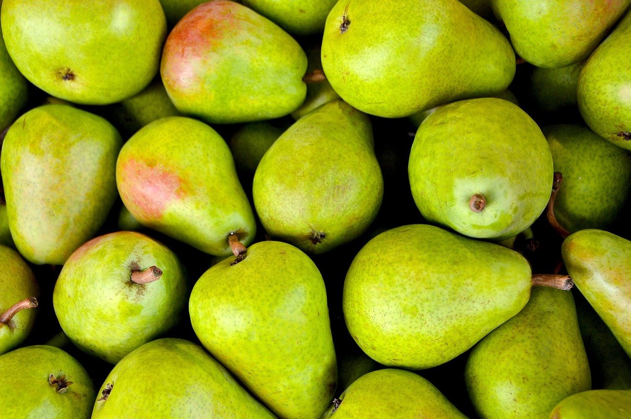 entdecken sie die bedeutung einer ausgewogenen ernährung für ihre gesundheit und ihr wohlbefinden. erfahren sie, wie sie mit den richtigen nährstoffen ihr leben verbessern können.