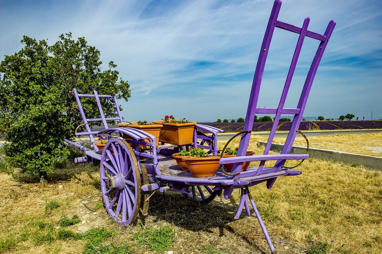 entdecken sie die schönheit der provence: von malerischen landschaften und duftenden lavendelfeldern bis hin zu charmanten dörfern und köstlicher regionaler küche.
