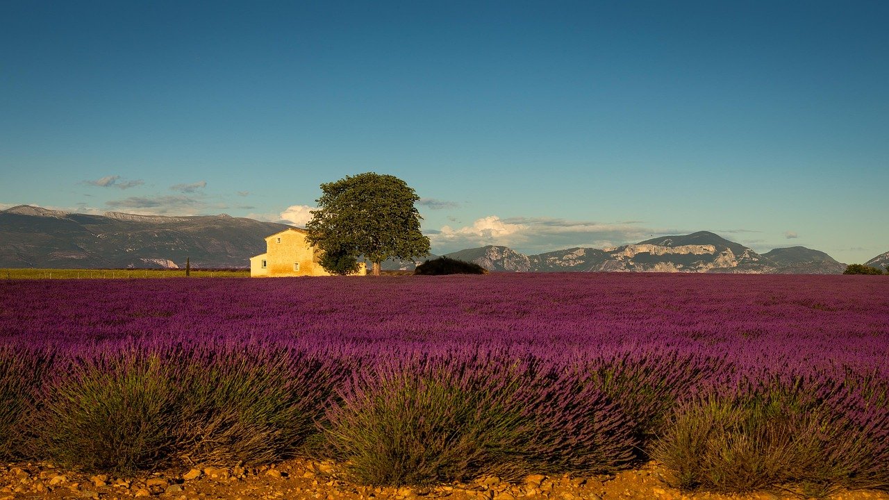 entdecken sie die schönheit der provence: malerische landschaften, charmante dörfer und köstliche gastronomie. lassen sie sich von der einzigartigen kultur und dem mediterranen flair verzaubern.