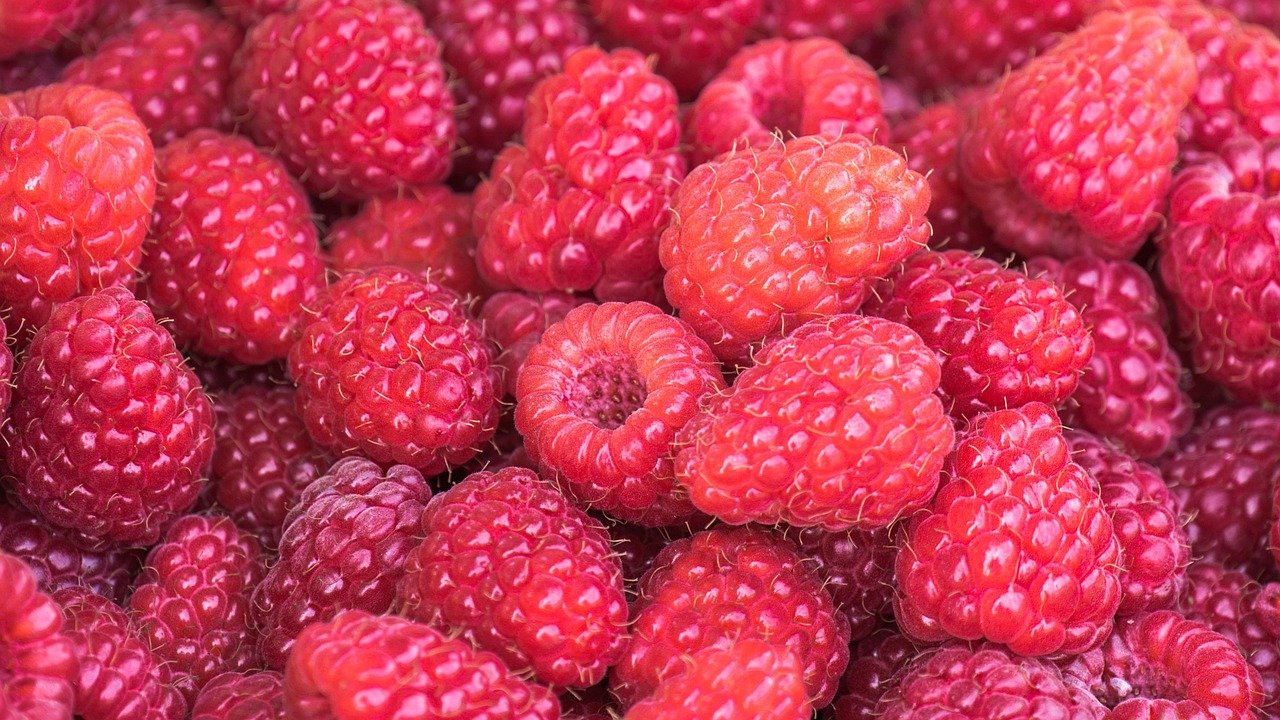 entdecken sie erfrischende lebensmittel, die ihre sinne beleben! von frischen salaten bis hin zu köstlichen smoothies – lassen sie sich von unseren rezepten und tipps inspirieren, um ihr wohlbefinden zu steigern und den sommer zu genießen.