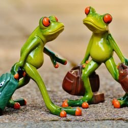 entdecken sie die faszinierende welt des reisens! von atemberaubenden landschaften bis zu kulturellen erlebnissen – planen sie ihr nächstes abenteuer und lassen sie sich inspirieren!