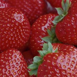 entdecken sie die besten brunch-ideen mit köstlichen rezepten und kreativen kombinationen für einen perfekten start ins wochenende. genießen sie abwechslungsreiche speisen und geselligkeit im herzen ihrer familie oder mit freunden.