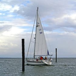 entdecken sie wangerooge, eine malerische deutsche insel in der nordsee, bekannt für ihre idyllischen strände, unberührte natur und entspannte atmosphäre. ideal für einen erholsamen urlaub mit vielfältigen aktivitäten!