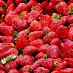 entdecken sie gesunde ernährungsoptionen, die ihr wohlbefinden fördern und ihre vitalität steigern. genießen sie nahrhafte rezepte und tipps für eine ausgewogene ernährung.