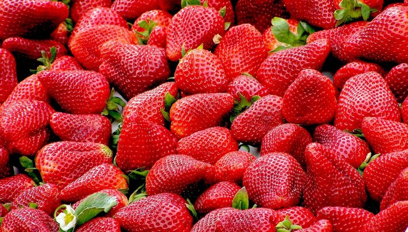 entdecken sie gesunde ernährungsoptionen, die ihr wohlbefinden fördern und ihre vitalität steigern. genießen sie nahrhafte rezepte und tipps für eine ausgewogene ernährung.