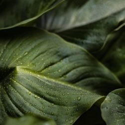 entdecken sie die bedeutung der hydration für ihre gesundheit und ihr wohlbefinden. erfahren sie, wie eine angemessene flüssigkeitszufuhr ihre leistungsfähigkeit steigern und ihr wohlbefinden verbessern kann.