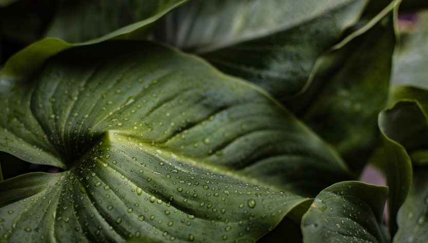 entdecken sie die bedeutung der hydration für ihre gesundheit und ihr wohlbefinden. erfahren sie, wie eine angemessene flüssigkeitszufuhr ihre leistungsfähigkeit steigern und ihr wohlbefinden verbessern kann.