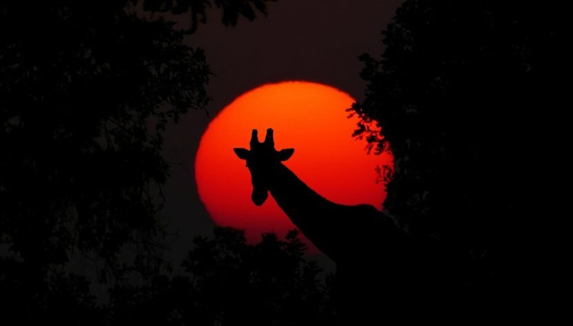 entdecken sie aufregende abenteuer und unvergessliche erlebnisse. tauchen sie ein in eine welt voller adrenalin, natur und spannender herausforderungen. erleben sie das abenteuer ihres lebens!