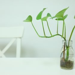 entdecken sie prägnante und informative inhalte, die ihnen klare einblicke und nutzen bieten. perfekt für alle, die wert auf effizienz und klarheit legen.