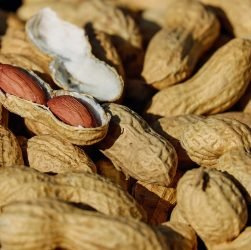 entdecken sie die faszinierende welt der tito-era-küche, die exquisite aromen und authentische rezepte vereint. lassen sie sich von den kulinarischen traditionen dieser einzigartigen epoche inspirieren und genießen sie unvergessliche geschmackserlebnisse.