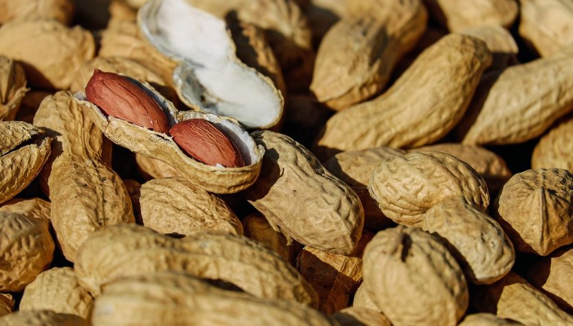 entdecken sie die faszinierende welt der tito-era-küche, die exquisite aromen und authentische rezepte vereint. lassen sie sich von den kulinarischen traditionen dieser einzigartigen epoche inspirieren und genießen sie unvergessliche geschmackserlebnisse.
