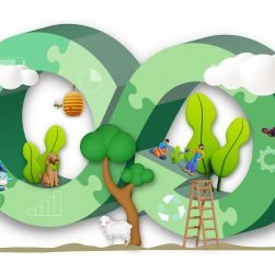 erfahren sie, wie nachhaltige praktiken unser leben verändern können. entdecken sie innovative ansätze zur förderung der umwelt, soziale verantwortung und wirtschaftliches wachstum für eine bessere zukunft.