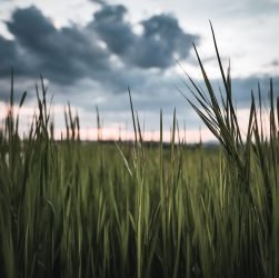 entdecken sie spannende trivia und faszinierende fakten zu verschiedenen themen. testen sie ihr wissen und erweitern sie ihren horizont mit interessanten informationen, die sie überraschen werden!