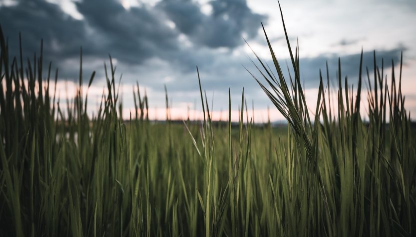 entdecken sie spannende trivia und faszinierende fakten zu verschiedenen themen. testen sie ihr wissen und erweitern sie ihren horizont mit interessanten informationen, die sie überraschen werden!