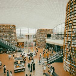 eine umfassende untersuchung über das einkaufsverhalten während der feiertage, einschließlich trends, präferenzen und tipps für ein gelungenes weihnachtsshoppen.