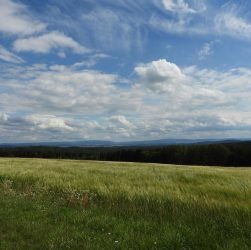 entdecken sie das vogtland, eine malerische region in deutschland, bekannt für ihre beeindruckenden landschaften, reiche kultur und vielfältige freizeitmöglichkeiten. erleben sie unvergessliche abenteuer in der natur und genießen sie die herzliche gastfreundschaft der einheimischen.