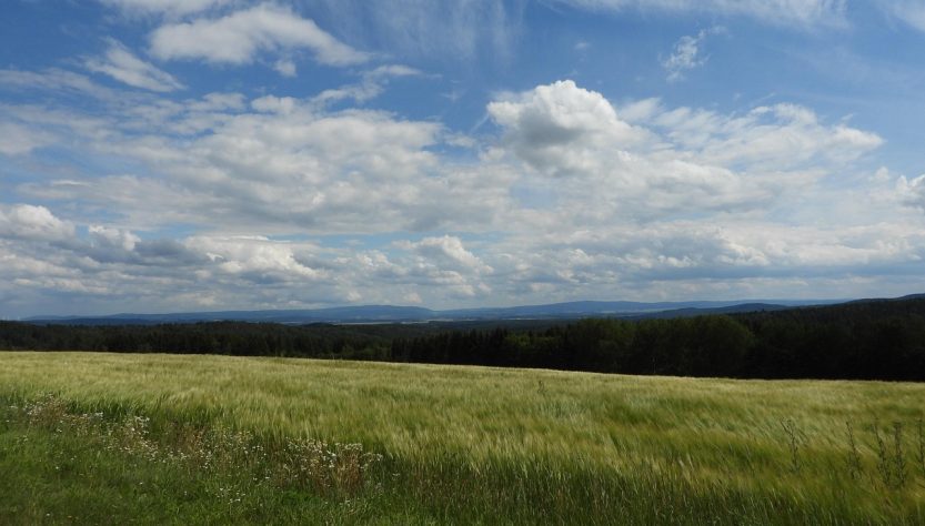entdecken sie das vogtland, eine malerische region in deutschland, bekannt für ihre beeindruckenden landschaften, reiche kultur und vielfältige freizeitmöglichkeiten. erleben sie unvergessliche abenteuer in der natur und genießen sie die herzliche gastfreundschaft der einheimischen.