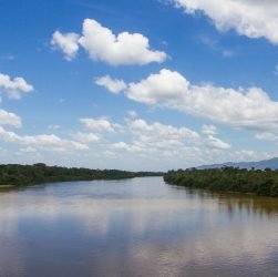 entdecken sie den amazonas-regenwald, ein atemberaubendes ökosystem voller einzigartiger pflanzen- und tierarten. erfahren sie mehr über seine bedeutung für die umwelt und die bedrohungen, denen er gegenübersteht.