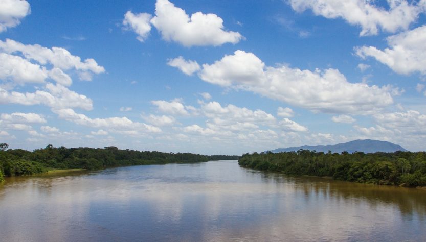 entdecken sie den amazonas-regenwald, ein atemberaubendes ökosystem voller einzigartiger pflanzen- und tierarten. erfahren sie mehr über seine bedeutung für die umwelt und die bedrohungen, denen er gegenübersteht.