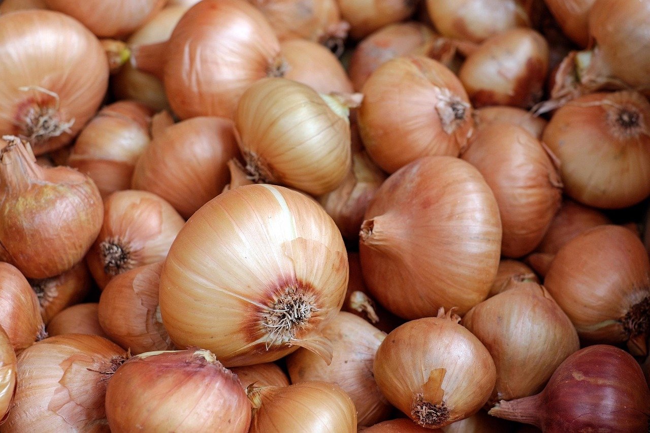 entdecken sie unvergessliche kulinarische erlebnisse, die ihre sinne verzaubern. von exquisiten speisen bis hin zu aufregenden verkostungen, erleben sie die vielfalt der welt der gastronomie!