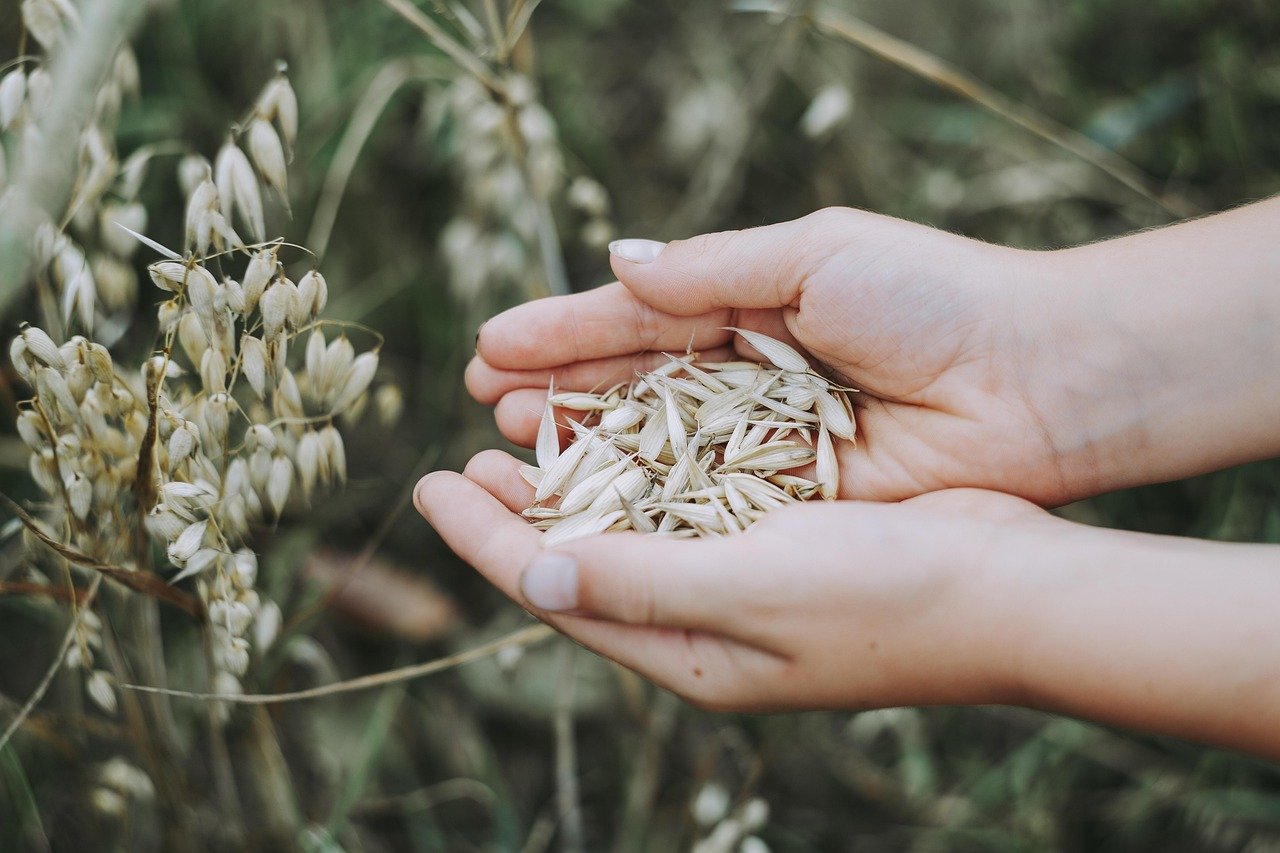 entdecken sie gesunde ernährungstipps und -rezepte für ein besseres wohlbefinden. lernen sie, wie sie sich ausgewogen und abwechslungsreich ernähren können, um ihre gesundheit zu fördern.