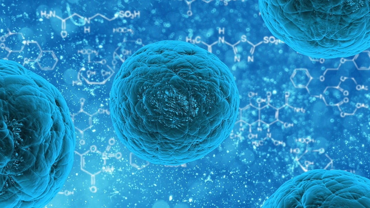 entdecken sie den renommierten wissenschaftlichen preis, der herausragende leistungen in der forschung anerkennt und fördert. erfahren sie mehr über die bewerbungsmodalitäten und die inspirierenden gewinner, die die wissenschaftswelt revolutionieren.