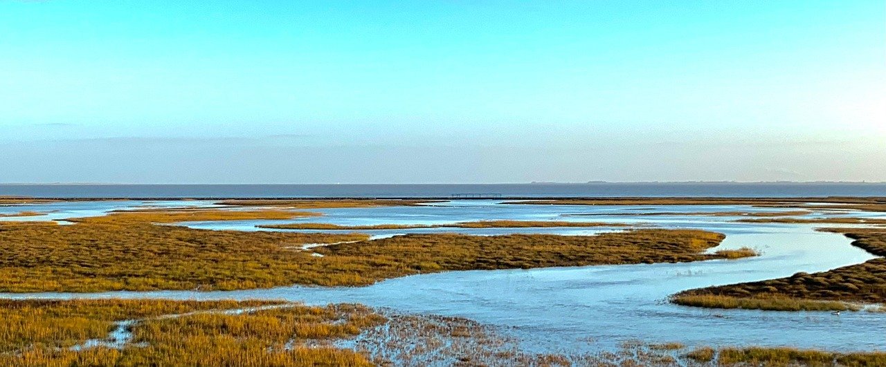 entdecken sie wangerooge, eine idyllische nordseeinsel, bekannt für ihre traumhaften strände, unberührte natur und charmante atmosphäre. erleben sie entspannte tage am meer, zahlreiche freizeitaktivitäten und die herzliche gastfreundschaft der inselbewohner.