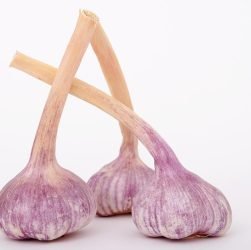 entdecken sie kulinarische genüsse: rezepte, trends und tipps für feinschmecker. lassen sie sich inspirieren und tauchen sie ein in die welt der gastronomie!