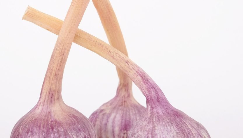 entdecken sie kulinarische genüsse: rezepte, trends und tipps für feinschmecker. lassen sie sich inspirieren und tauchen sie ein in die welt der gastronomie!