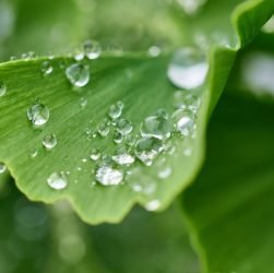 entdecken sie die bedeutung der hydration für ihre gesundheit und ihr wohlbefinden. erfahren sie, wie ausreichende flüssigkeitszufuhr ihre leistung steigert und ihnen hilft, sich besser zu fühlen.