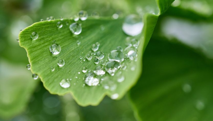 entdecken sie die bedeutung der hydration für ihre gesundheit und ihr wohlbefinden. erfahren sie, wie ausreichende flüssigkeitszufuhr ihre leistung steigert und ihnen hilft, sich besser zu fühlen.