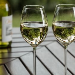 entdecken sie die faszinierende welt der weinkultur: von traditionsreichen anbaugebieten über verkostungen bis zu spannenden fakten rund um wein und genuss.