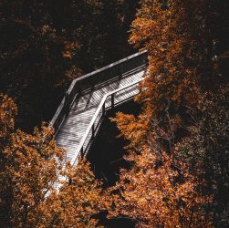 erleben sie unvergessliche wanderabenteuer mit unserer geführten erlebniswanderung. entdecken sie atemberaubende landschaften, spannende trails und genießen sie die natur hautnah!
