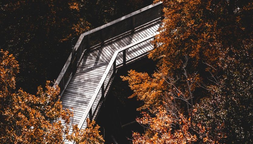 erleben sie unvergessliche wanderabenteuer mit unserer geführten erlebniswanderung. entdecken sie atemberaubende landschaften, spannende trails und genießen sie die natur hautnah!